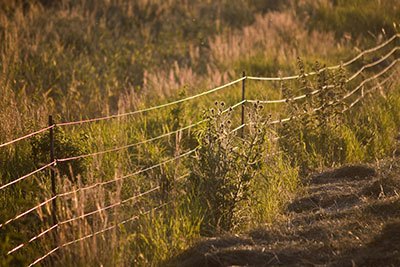 temporary electric fencing for high stock density grazing