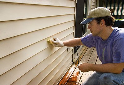 prevent mold on vinyl fence