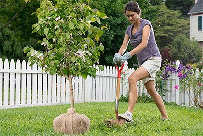 best rated garden shovel