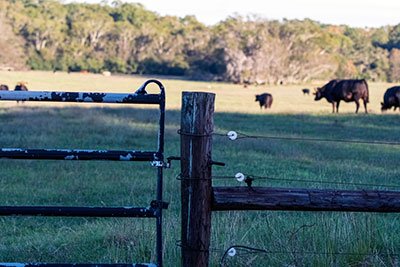 repair and service for electric fence chargers