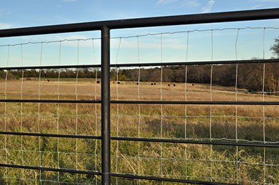 fence laws in the northeast