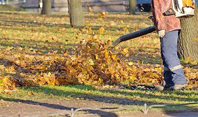 best leaf vacuum and mulcher
