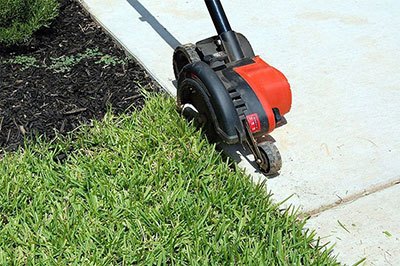 best lawn edger gas