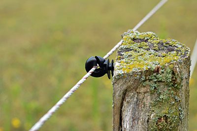 electrobraid fence charger