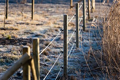 best electric fence for rotational grazing