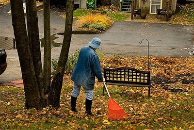 best leaf rake on the market