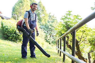best leaf vacuum blower mulcher
