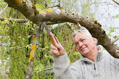 best pruning saw blades