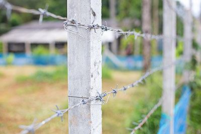 cedar posts and barbed wire fences