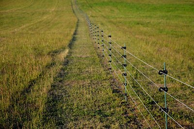 Is an electric fence cheaper than wood?