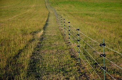 board horse fence