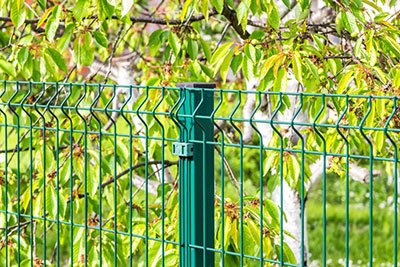 Powder-coated wire fences