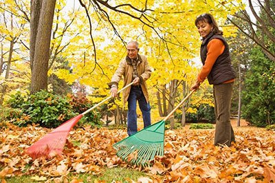 best leaf rake for pool