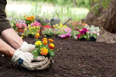 what are the best garden gloves