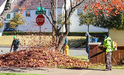 best backpack blower rack