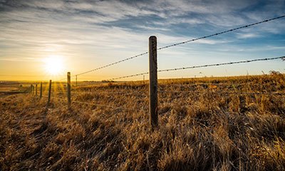 wildlife friendly fencing