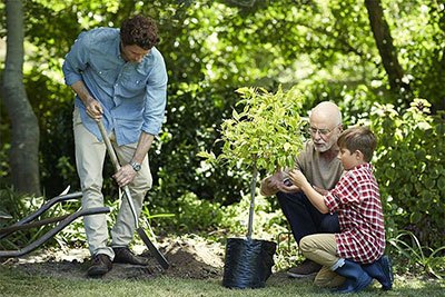 best garden hand shovel