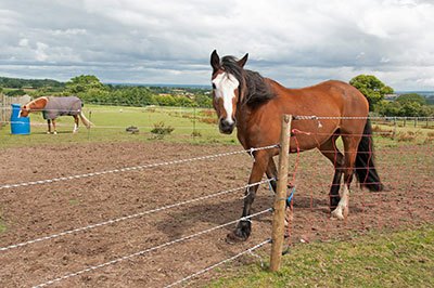 electric fence rope or tape