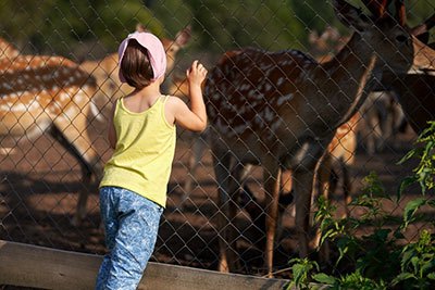 do chain link fences need to be grounded