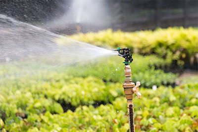 best sprinkler amazon