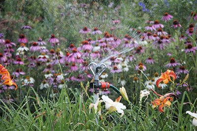 best sprinklers for lawn