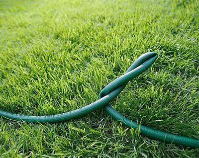 best garden hoses 2023