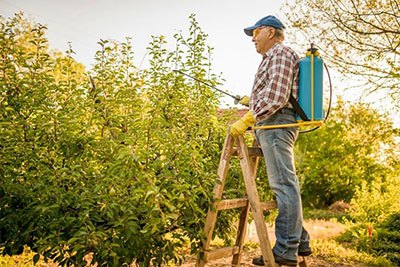 best backpack sprayer for bleach