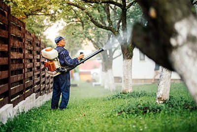 best backpack sprayer pest control