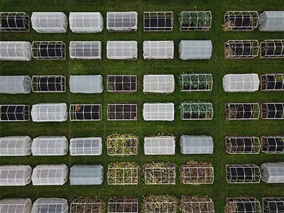 how to set up an led grow tent