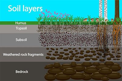 growing grass in shady clay soil