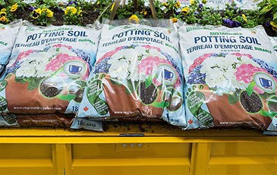 best potting soil for herbs