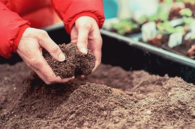 potting mix vs garden soil