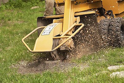 best stump grinder to buy