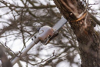 best electric pole saws for tree trimming