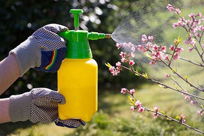 best garden sprayer for vinegar