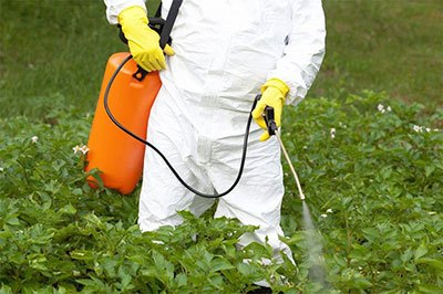 best garden sprayer for stain