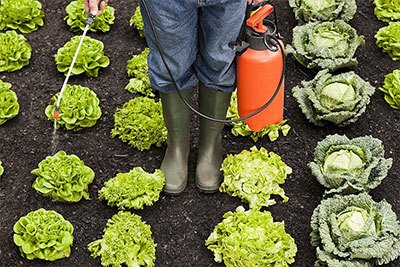 best garden sprayer on wheels