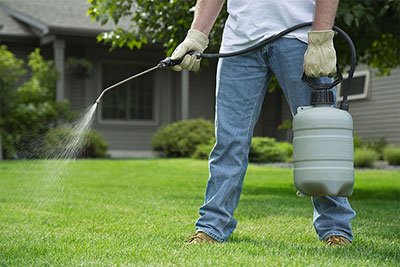 best garden sprayers reviews