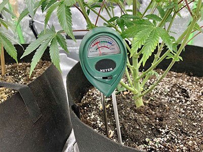 best soil ph tester review