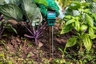 best soil ph tester for food plots
