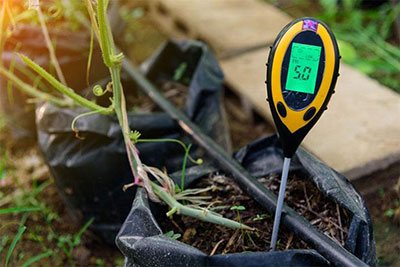 best soil ph tester