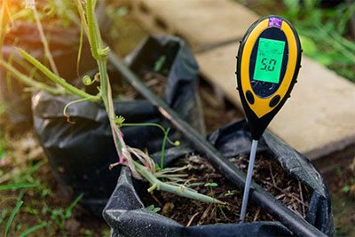 best soil ph tester