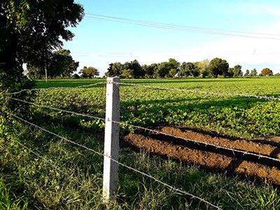 agricultural fencing tools