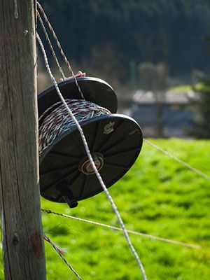 polywire electric fence installation