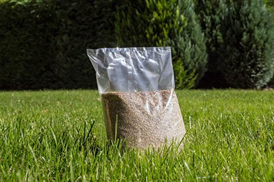 what are the best grass seeds