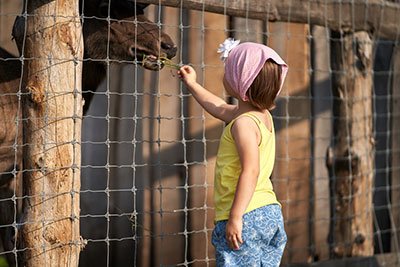 advantages of a chain link fence