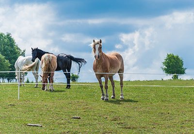 cost of installing electric fence