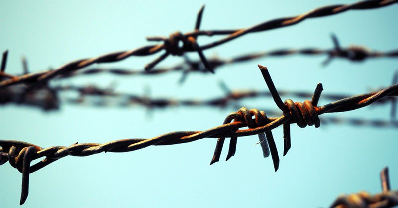 Barbed wire