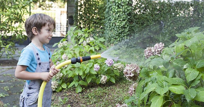 Best Garden Hose