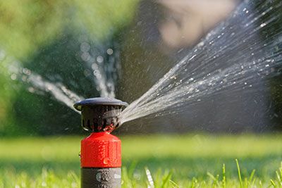 what to do if sprinkler heads don't pop up